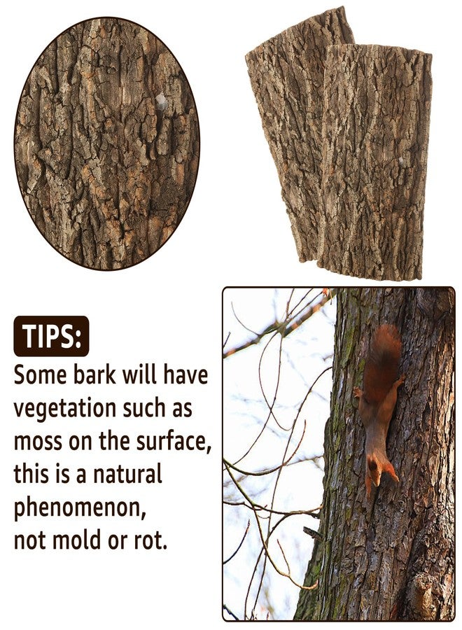 RHBLME 4 Pack Cork Bark, 11.8" L x 7.8" W Cork Bark for Reptiles, Cork Bark for Terrarium, Reptile Tank Background Terrarium Backdrop Wall Decor Natural Reptile Climbing Mat - Image 5