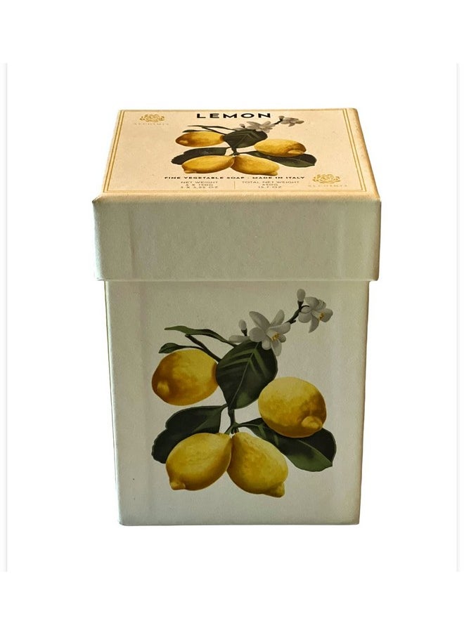 Lemon Citron 3Pc Boxed Soap Set 3 X 5.25 Oz - pzsku/ZA9159D01706197AFB6DFZ/45/_/1707975818/ea4cfc7d-62fc-4ee3-9b94-3d79d6c60563