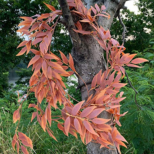 LJDJ Fall Leaves Autumn Leaf Garland Decorations - 5.4 Feet Artificial Silk Fabric Willow Plant Leaves Vines String Wedding Decor Holiday Party Supplies Faux Wall Greenery Crowns Wreath - Image 5