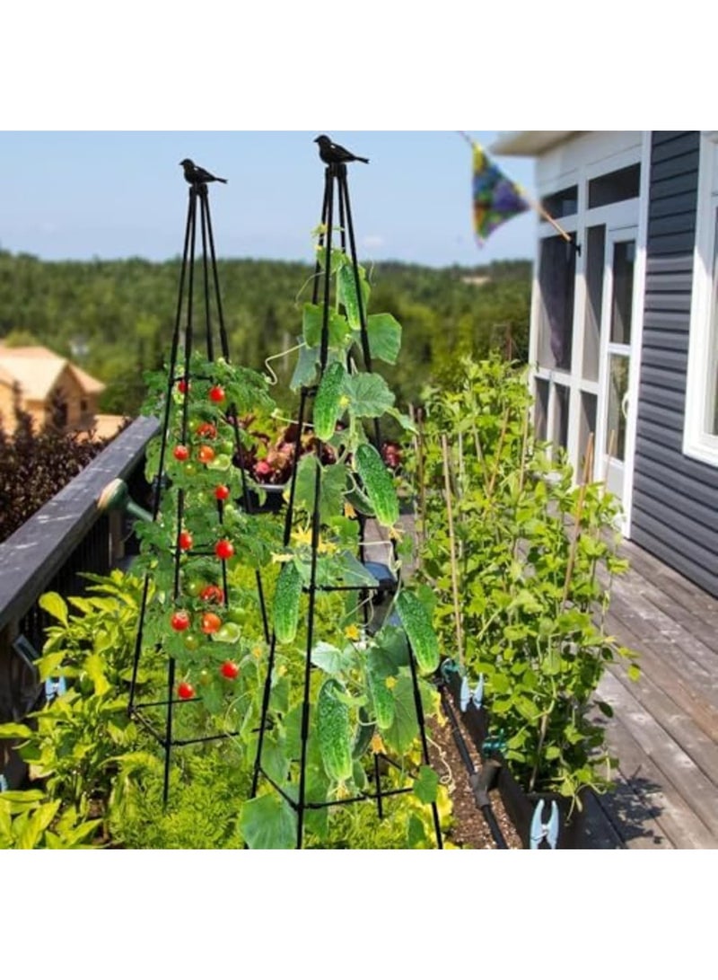 Barakah دعامة حديقة بطول 67 بوصة لدعم النباتات المتسلقة في الهواء الطلق والداخلية، دعامة أوبليسك لزهور الورد، الخضروات، الخيار، البازلاء، والفاصوليا للحديقة، الفناء، السرير المرتفع، واستخدام الشرفة (عبوة 2، أسود) - Image 5