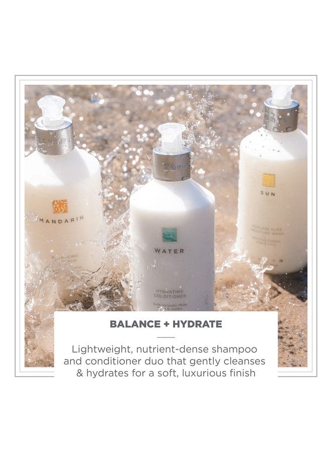 ZENTS Balancing Shampoo & Moisturizing Conditioner, Color Safe, Sulfate-Free Set for All Hair Types, 10 fl oz each - Image 5