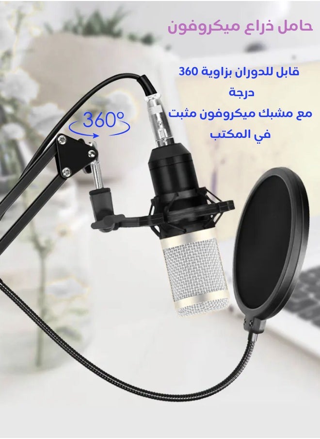 General - Adjustable Foldable Microphone StandHeavy Duty Metal Microphone Arm Stand with Shock MountWindshieldPop FilterFor Studios - Image 1