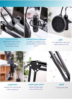 General Adjustable Foldable Microphone StandHeavy Duty Metal Microphone Arm Stand with Shock MountWindshieldPop FilterFor Studios  - Image 4