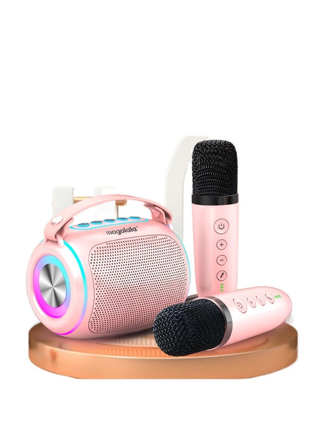 EBMINI Microphone Bluetooth Speaker With Microphone Singing Speaker All-In-One Machine
