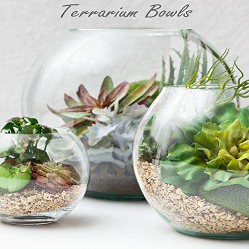 CYS EXCEL Large Glass Bubble Bowl (H-12" W-13", Approx. 5.5 Gal.) Round Bowl Terrarium Globe Flower Vase Centerpiece for Weddings Events Arrangements - Image 5