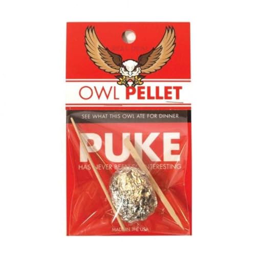 Copernicus Toys Real Owl Pellet kit Dissect Real owl pellets | Bone Chart Included - Image 1