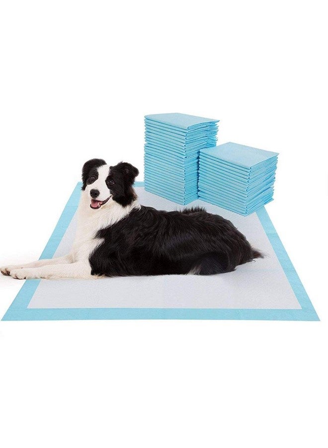 100 Piece Pet Training Pads For Dog And Puppy, Rapid-Dry Technology 90X60Cm - Image 1