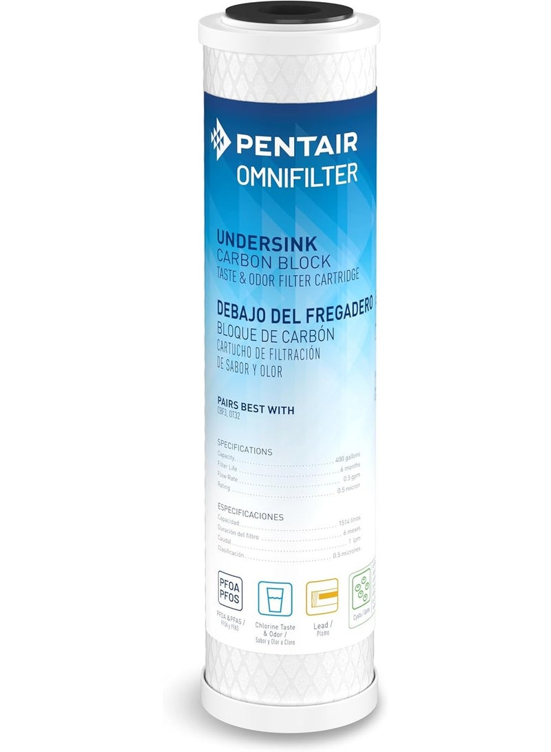 Pentair OMNIFilter CB3 Carbon Water Filter, 10" Undersink Carbon Block Taste & Odor Replacement Filter Cartridge, NSF Certified to Reduce PFOA/PFOS, 10" x 2.5", 0.5 Micron - Image 1
