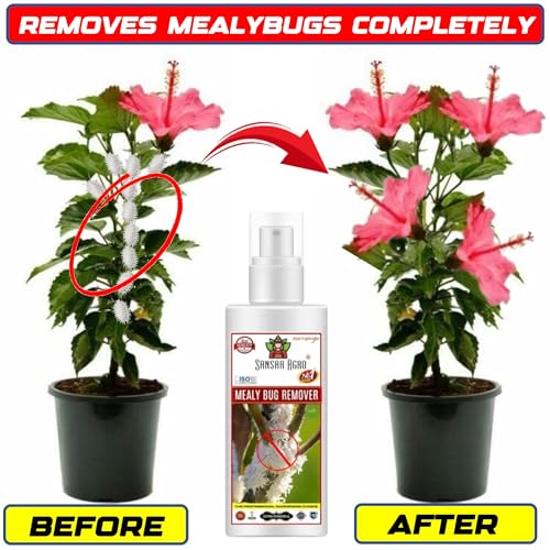 Sansar Agro® Mealy Bug Remover Spray, Premium Essential Liquid Spray For Complete Removal Of Mealy Bugs From Plants (500 Ml) - Image 3