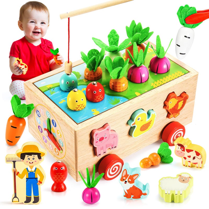Toyzey 5 in 1 Carrot Harvesting Toy, Montessori Baby Toy 1-3 Years (Green-1)