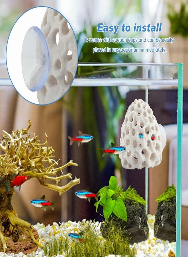 PUXING Shrimp Dome Hide Shrimp Hides for Aquarium Bettas Fish Hideout with Suction Cup Aquarium Fish Cave Hideout Bettas Habitat Fishs Tank Tunnel(Color:White) - Image 5