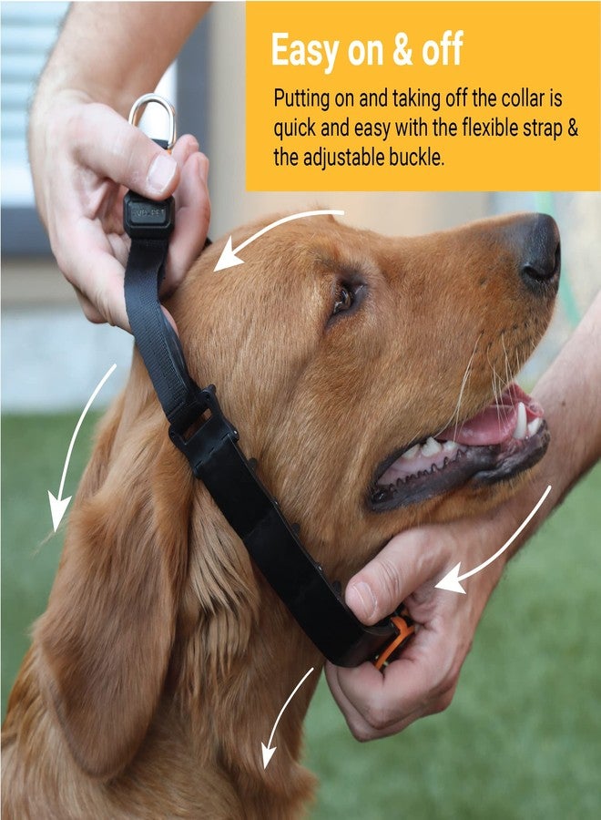 SVD.PET Dog Prong Collar for No-Pull Training, Quick-Release Buckle Adjustable Pinch Collar for Small Dogs (Black, Small Size, Suitable Neck Girth 7”-10”) - Image 4
