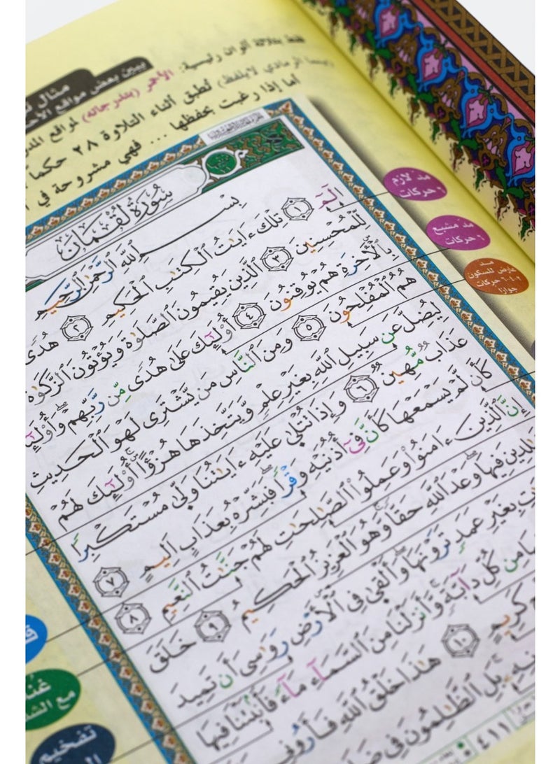 Tajweed Quran - Narrated by Khalaf on the authority of Hamza via Al-Shatibiyyah, size 17 x 24 - Image 3