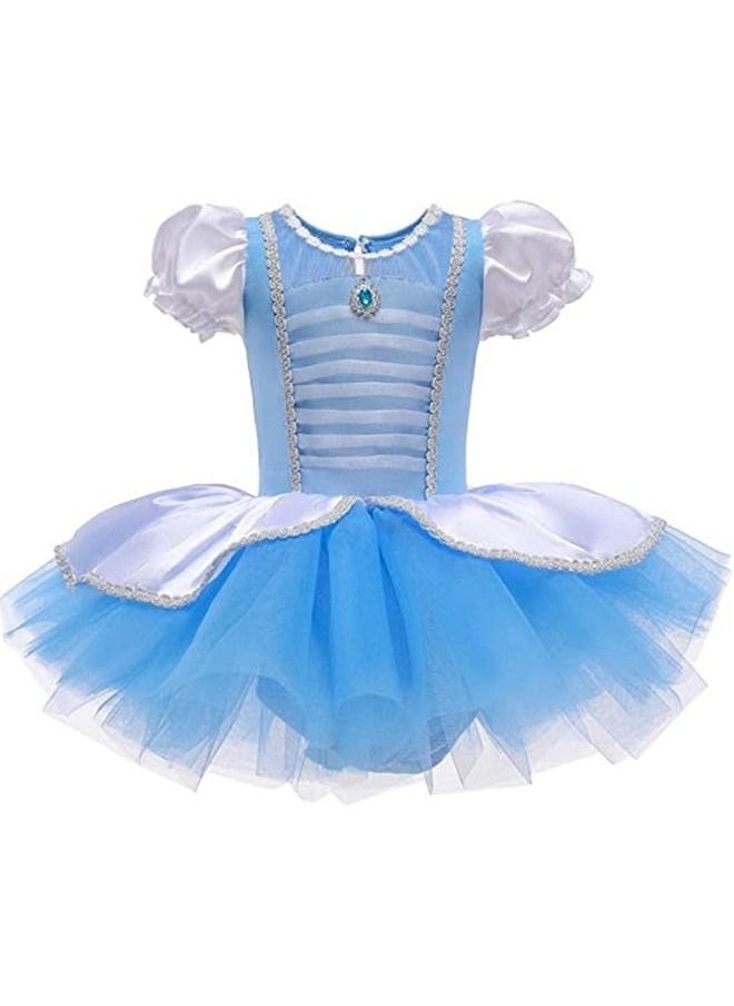 ISank Ballet Leotards Tutu Dress for Toddler Girls Ballerina Outfits Dance Costume Dancewear with Tulle Skirt  - Image 1