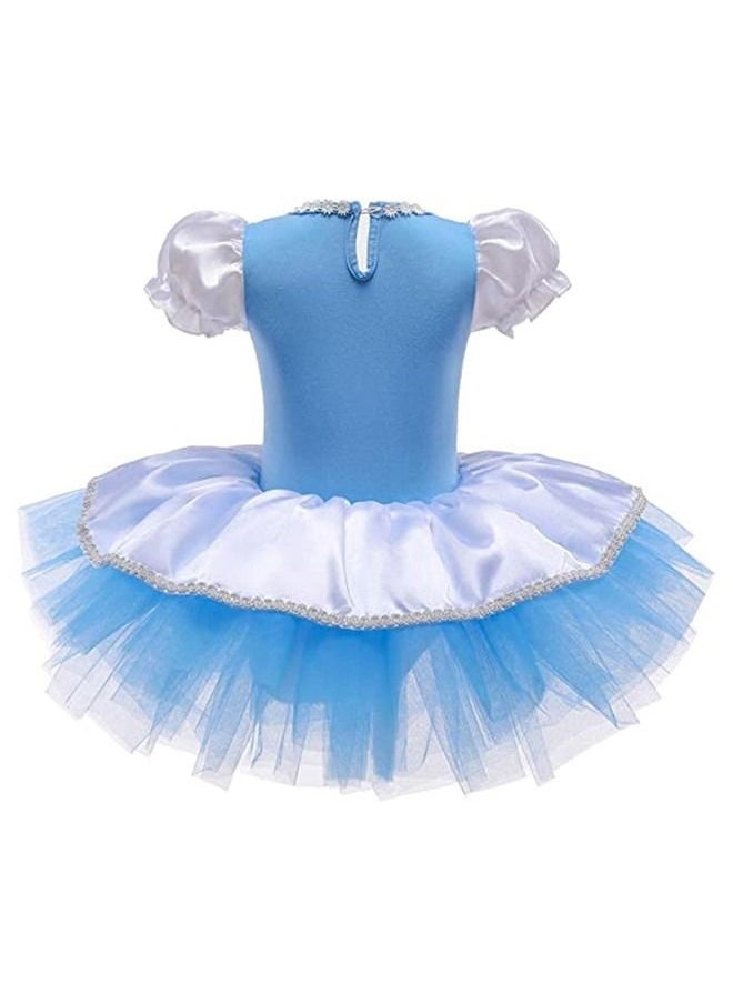 ISank Ballet Leotards Tutu Dress for Toddler Girls Ballerina Outfits Dance Costume Dancewear with Tulle Skirt  - Image 3