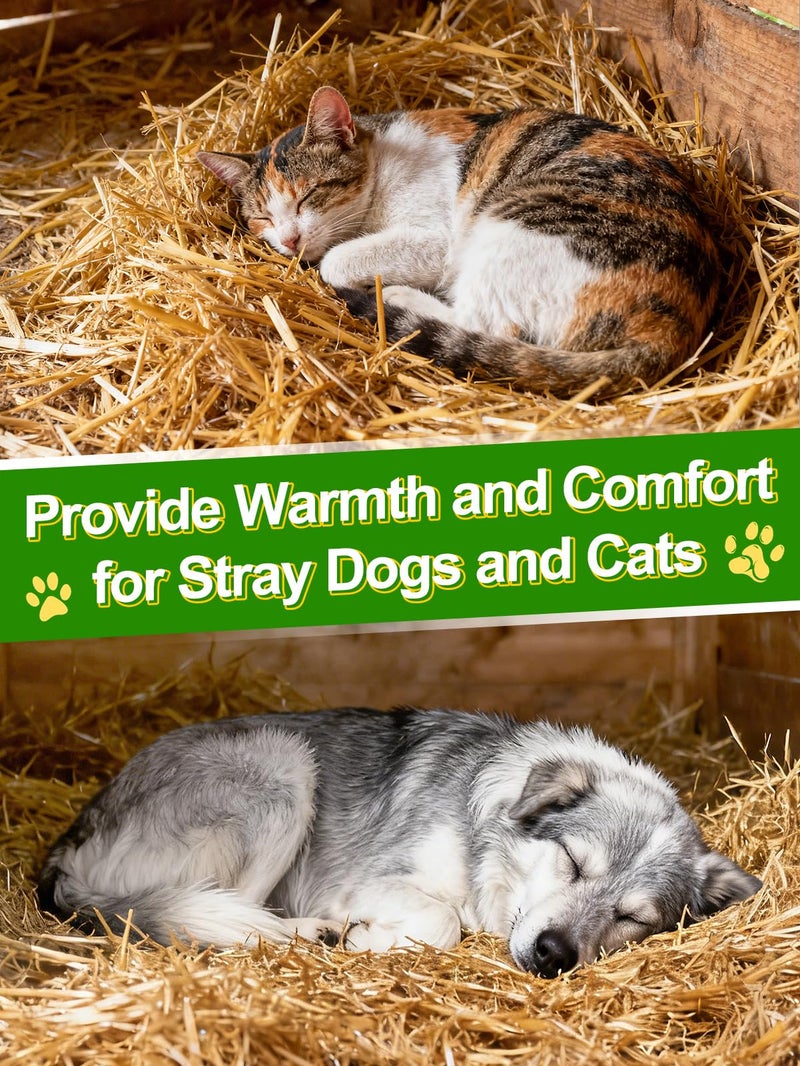 Acostop Natural Wheat Straw - 1 LB Dry Clean Soft Garden Mulch Weed Cover Chicken Coop Yard Farm Pets Bedding, Warm Decorative Straw Bale for Stray Cats Dogs Shelter - Image 4