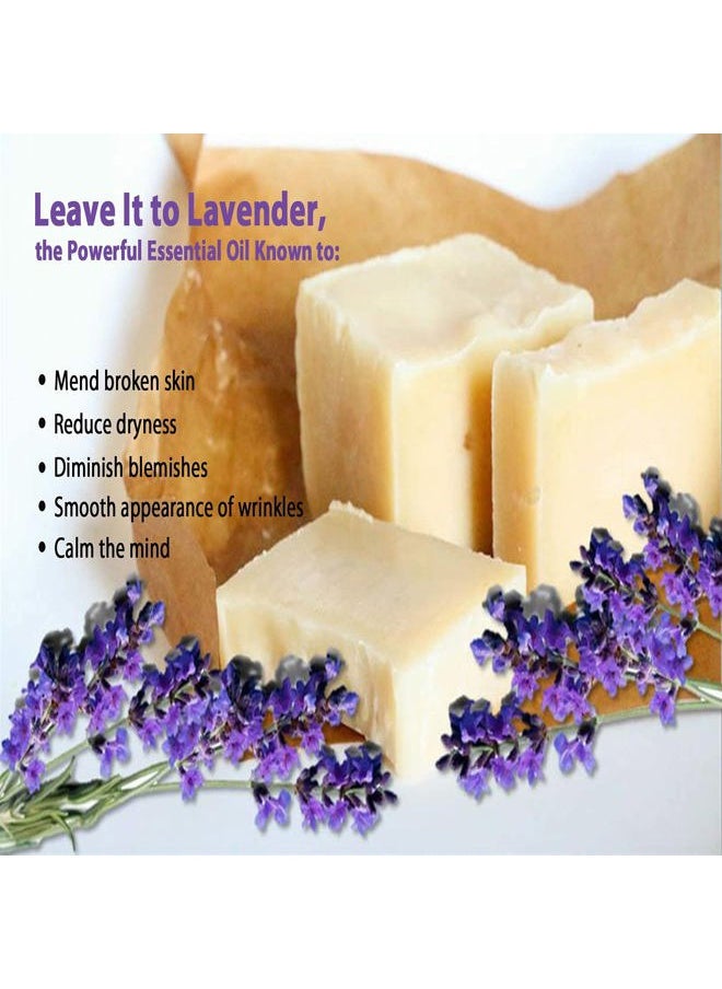 vintage tradition - Beef Tallow All Purpose Balm – Healing, Hydrating Lavender Oil Skin Care Salve Replaces Body Lotion, Hand Cream, More – Essential Oil, Olive Oil, and Grass-Fed Tallow, 2 fl. oz. - Image 1