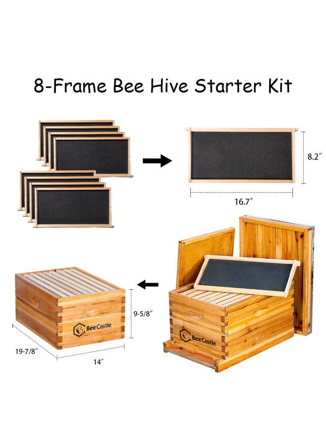 BeeCastle 8-Frame Bee Hives and Supplies Starter Kit,Beehive Kit Dipped in 100% Beeswax,Bee Keeping Supplies-all Beginners Kit includes Beekeeping Supplies Tool Set and Bee Suit. - Image 3
