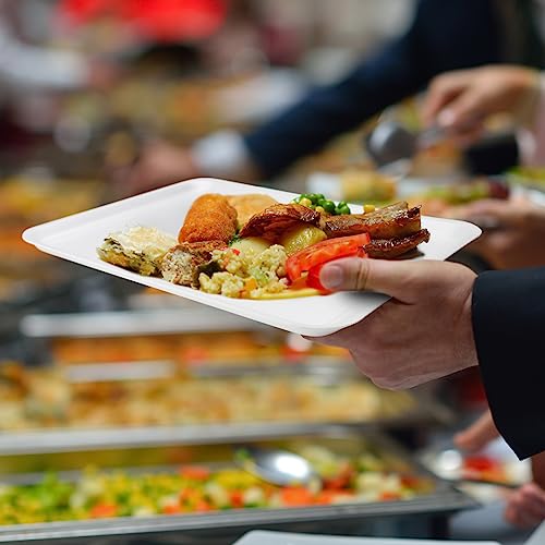 Hygloss White Foam Trays 9 x 11-Inch - Pack of 25 - Versatile Trays for Crafts & Food - Ideal Foam Tray for Food, Meat, Craft Projects - Durable Tray - Disposable & Reusable - Image 2