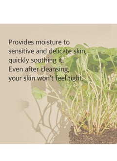 mixsoon mixsoon Centella Cleansing Foam 150ml, Low pH cleansing foam for soothing and moisturization, cruelty-free, Korean Facial Cleanser, Korean Face Wash  - Image 4