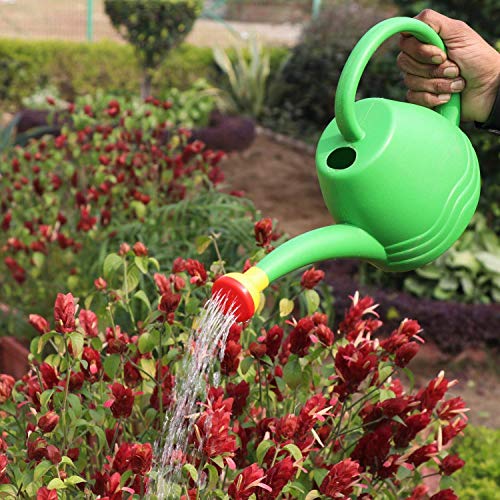 DIVINE TREE 1.8 L Plastic Watering Can with Long Spout & Sprinkler Head – Indoor & Outdoor Watering Can for Plants, Seed Germination & Home Garden Use (Green) - Image 2