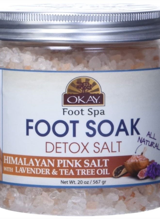 Himalayan Pink Salt Foot Soak With & Tea Tree Oil, lavender, 20 Ounce - pzsku/ZA927E7EBE756E17E072EZ/45/_/1681069576/2a656eeb-66ff-4a29-be75-b47433d7e632