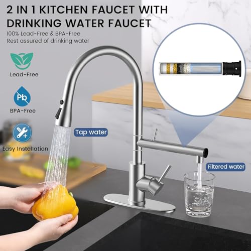 FEELSO Kitchen Faucets Upgraded Filter Water Kitchen Faucet with Pull Down Sprayer Brushed Nickel Stainless Steel High Arc 1 Or 3 Hole Kitchen Sink Faucet for Remove Lead Chlorine Bad Taste Odor - Image 3