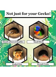 SunGrow SunGrow Leopard Gecko Coconut Husk Hut with Ladder and Coco Fiber Bedding, with Shell Opening, 2.5” Opening Diameter, Cave Habitat with Hanging Loop, 1.5 oz Fiber Bedding  - Image 2