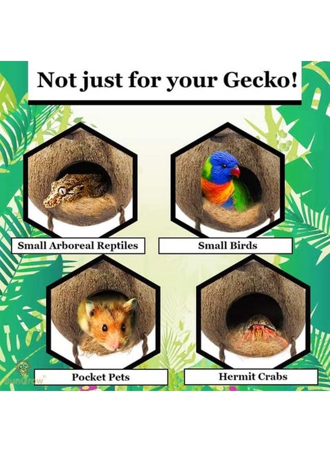 SunGrow - SunGrow Leopard Gecko Coconut Husk Hut with Ladder and Coco Fiber Bedding, with Shell Opening, 2.5” Opening Diameter, Cave Habitat with Hanging Loop, 1.5 oz Fiber Bedding - Image 1