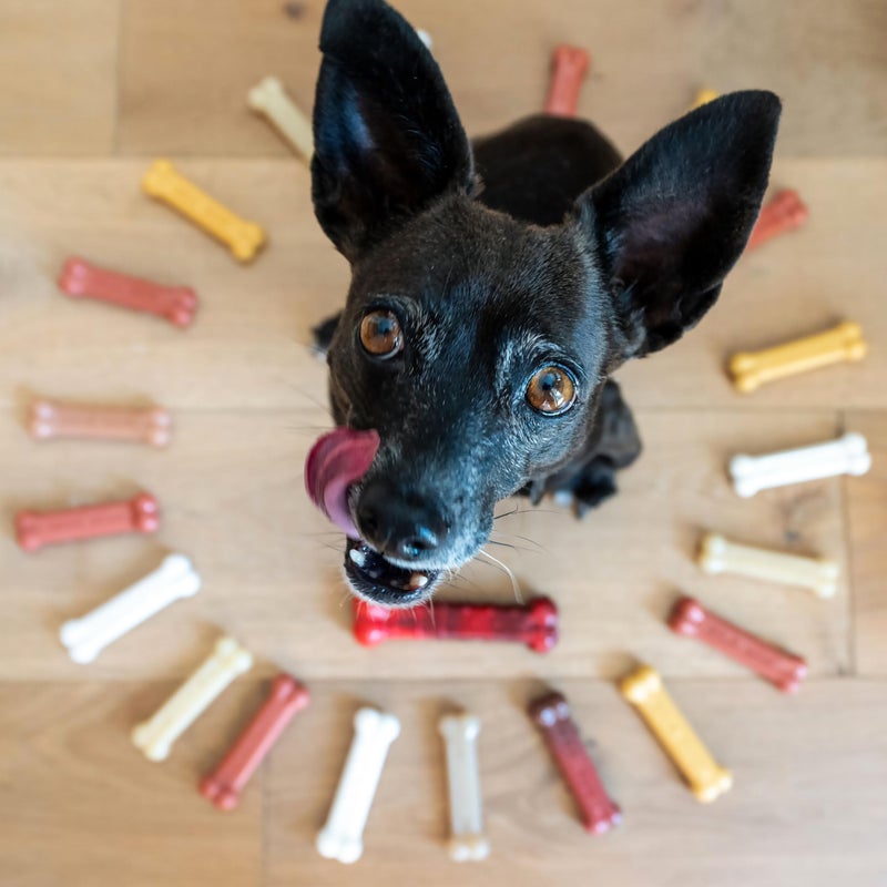 Nylabone Customer Favorites Power Chew Toy Bundle for Dogs, Indestructible Dog Toys for Aggressive Chewers, Pack of 3 Dog Toys, Flavor Medley, Small Dogs - Up to 25 lbs, 3 Pack - Image 4