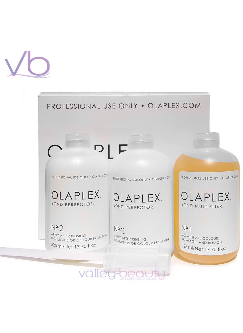 Olaplex - Olaplex Salon Intro Kit Step 1, 2‏ - Image 1