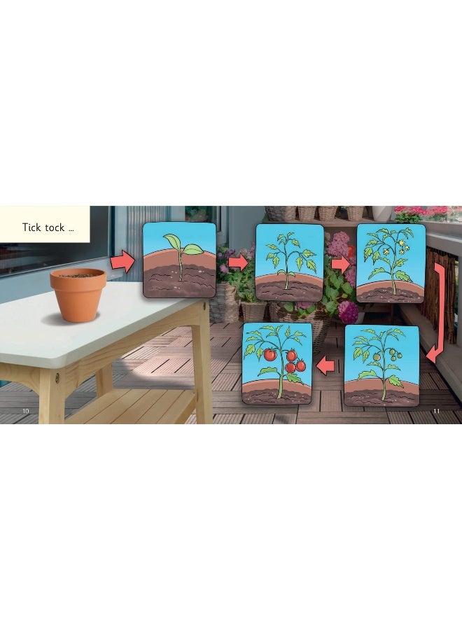 In the Pot: Phase 2 Set 3 - Image 4