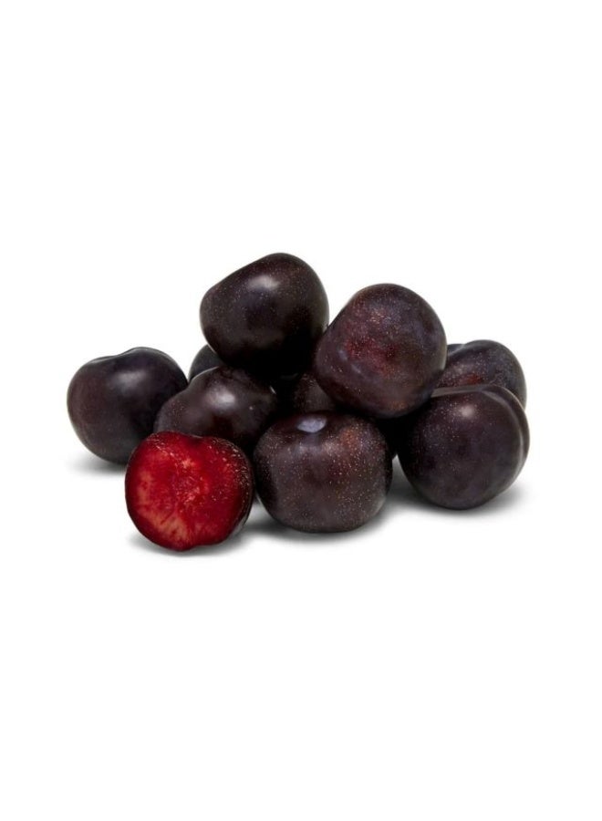 Queen Garnet Plum, 6 to 8 pieces , Australia