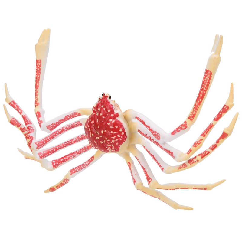 Realistic Crab Model Toy: Soft Durable Safe Plastic, Exquisite Detail Design - Lifelike Vivid Color, Educational Sea Animal Decoration for Kids, Aquarium, Marine Party - Image 5