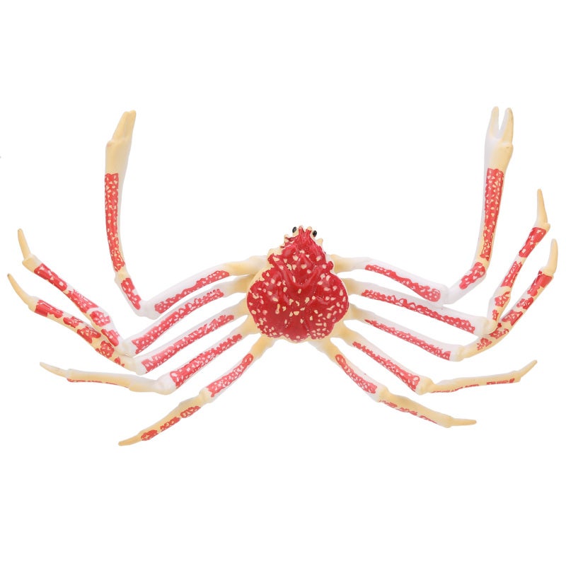 Realistic Crab Model Toy: Soft Durable Safe Plastic, Exquisite Detail Design - Lifelike Vivid Color, Educational Sea Animal Decoration for Kids, Aquarium, Marine Party - Image 4