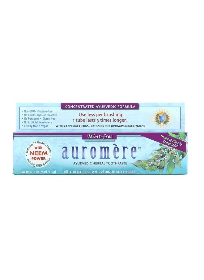 Ayurvedic Herbal Toothpaste MintFree 4.16 oz 117 g - pzsku/ZA9300406D14B547DFA0FZ/45/_/1679461838/38f0ee3d-f467-4a17-bfcd-7594b5dcb230