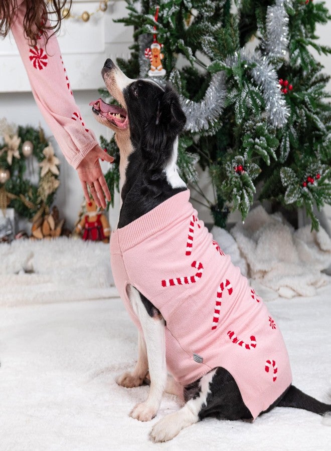 LUBOT NEW Ugly Christmas Sweaters for Puppy Cute Funny Wintertime and Holiday Parties Knitted Pullover Sweater Santa Small Dog Pink Candy Medium - Image 4