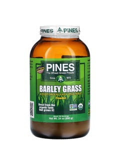Pines International Pines International, Barley Grass, Powder, 24 oz (680 g)  - Image 1