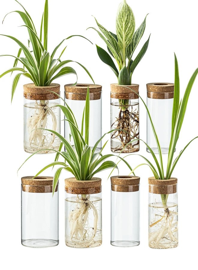 CHPINDAM6.5 * 10 Flower vase and 8.5 * 10 vase,Plants Propagation Stations（4pcs） - Image 1
