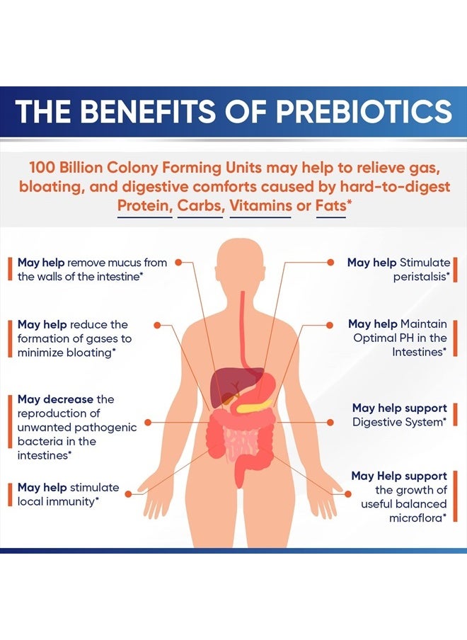 Wholesome Wellness - Raw Probiotics 100 Billion CFU, 30 Vegetable Capsules - Image 1