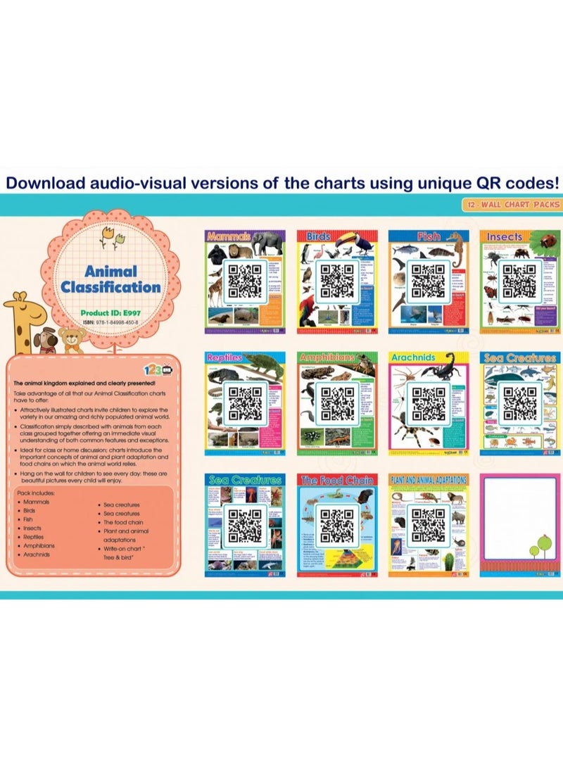 Educational Animal Classification Boards – Simplified Learning Cards for Animal Kingdom  - Image 1