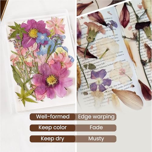 Aboofx 4PCS Dried Flower Storage Set with Blotting Paper, Ziplock Bag and Desiccant, Flower Preservation Kit - Good Seal, High Capacity to Keep Flowers Color and Dry (6.3 x 4.3 inch) - Image 3