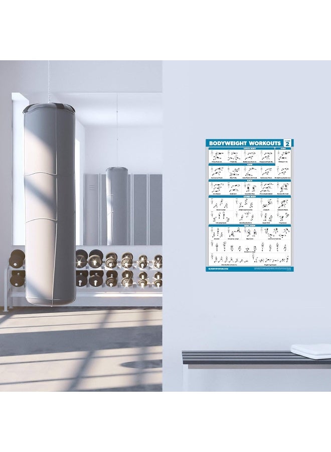 Palace Learning 3 Pack: Bodyweight Workout Posters Volume 1 & 2 + Pilates Exercise Poster Set - Set of 3 Workout Charts (Laminated, 18" x 27") - Image 3