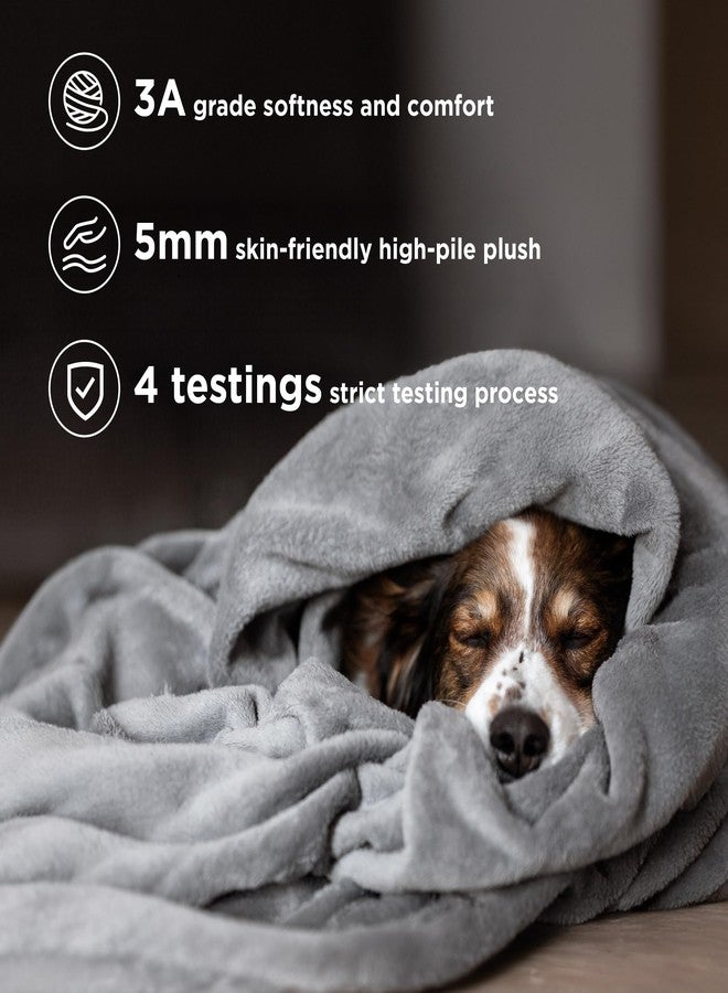 Bedsure GentleSoft Fleece Throw Blanket for Couch Grey - Lightweight Plush Fuzzy Cozy Soft Blankets and Throws for Sofa, 50x60 inches - Image 4