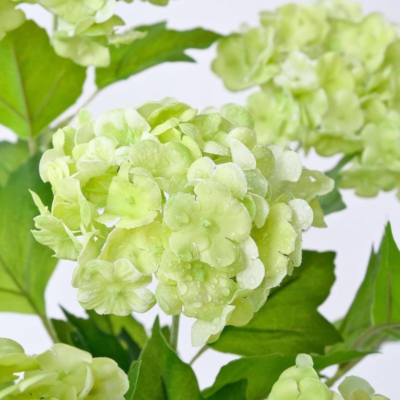 ASTRYAS 6 Pcs 26.8'' Faux Snowball Viburnum Hydrangea Flowers Green Long Stem Real Touch Hydrangea Christmas Flower for Home Decoration Table Centerpieces Floral Arrangements - Image 3