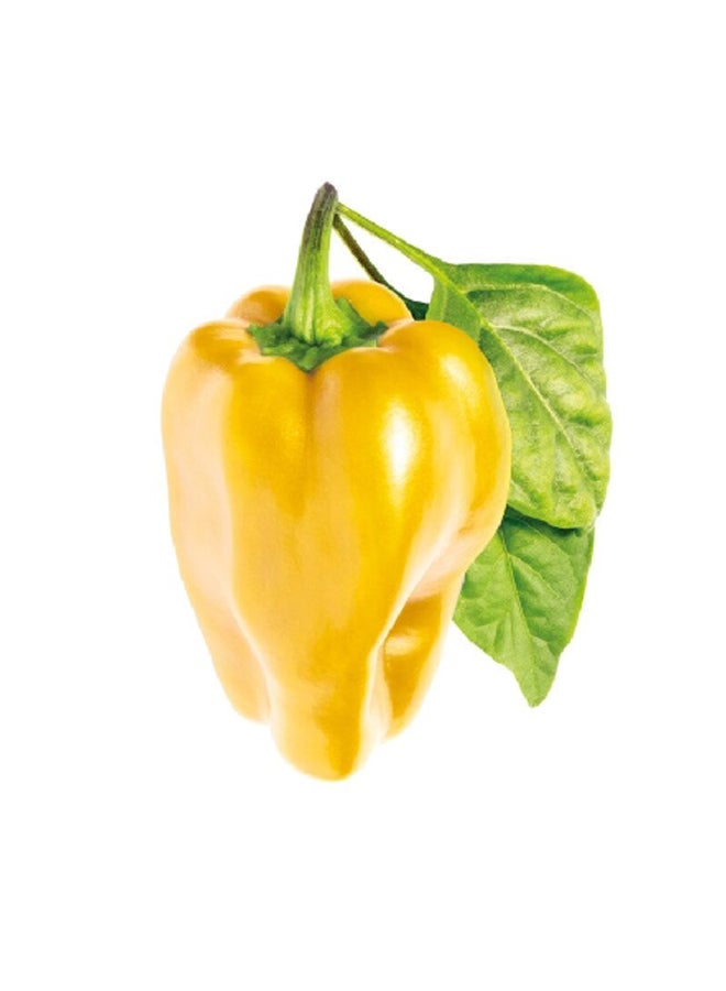 كليك آند جرو سمارت جاردن عبوات نباتات فلفل حلو صالحة للأكل، أصفر وأخضر، 8.5 × 5.5 × 20.5 سم SGR53X3 - Image 2