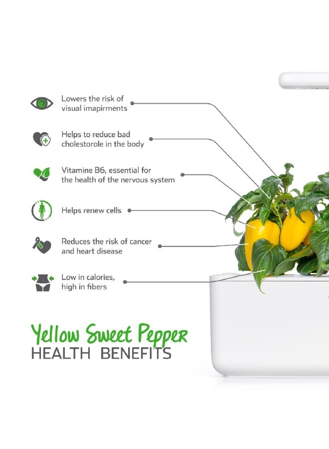 كليك آند جرو سمارت جاردن عبوات نباتات فلفل حلو صالحة للأكل، أصفر وأخضر، 8.5 × 5.5 × 20.5 سم SGR53X3 - Image 5