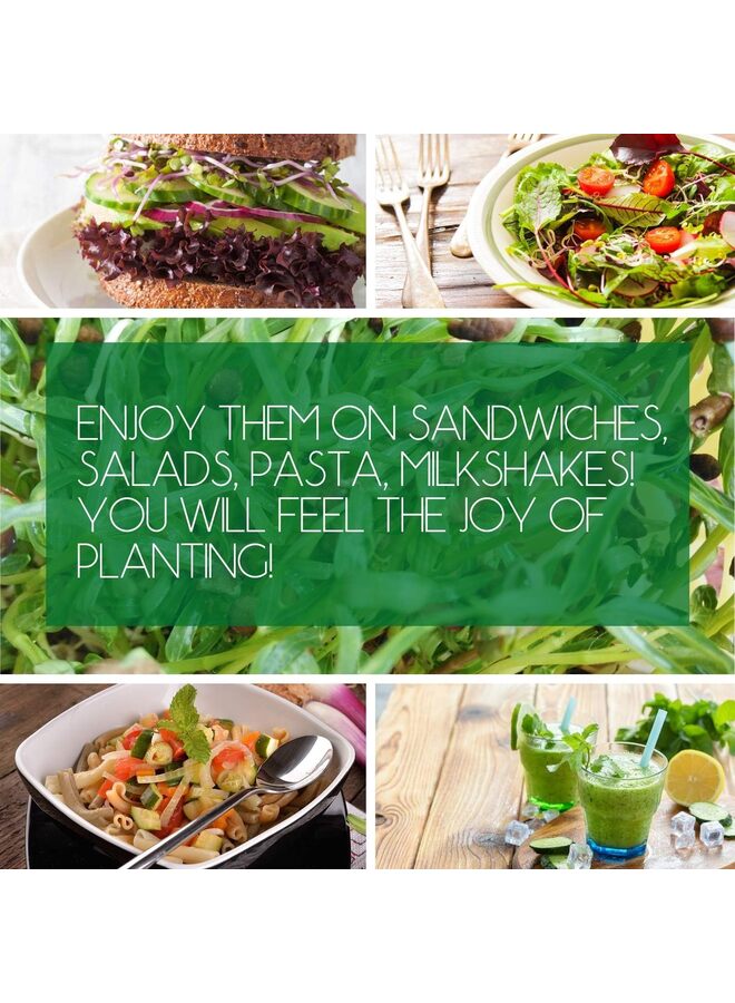 يُسلِّم 20 قطعة، حصيرة زراعة من ألياف نبات الجوت للمحاصيل الصغيرة 10 بوصات × 20 بوصة وسادات زراعة مائية طقم إنبات لإنبات الصواني الداخلية براعم القمح العضوية - Image 4