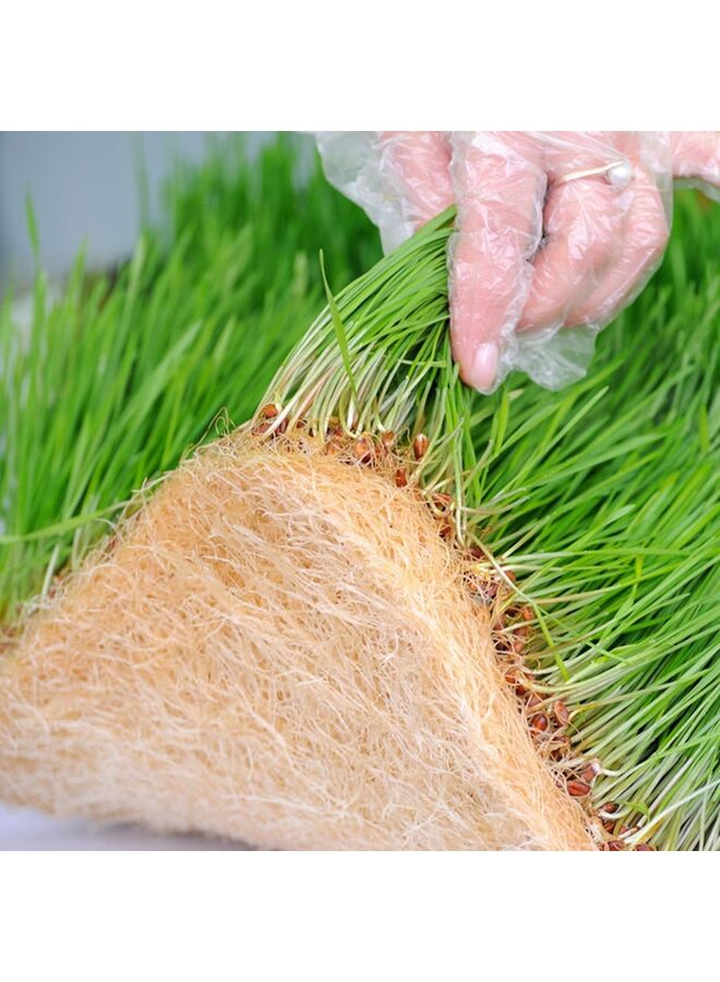 يُسلِّم 20 قطعة، حصيرة زراعة من ألياف نبات الجوت للمحاصيل الصغيرة 10 بوصات × 20 بوصة وسادات زراعة مائية طقم إنبات لإنبات الصواني الداخلية براعم القمح العضوية - Image 5