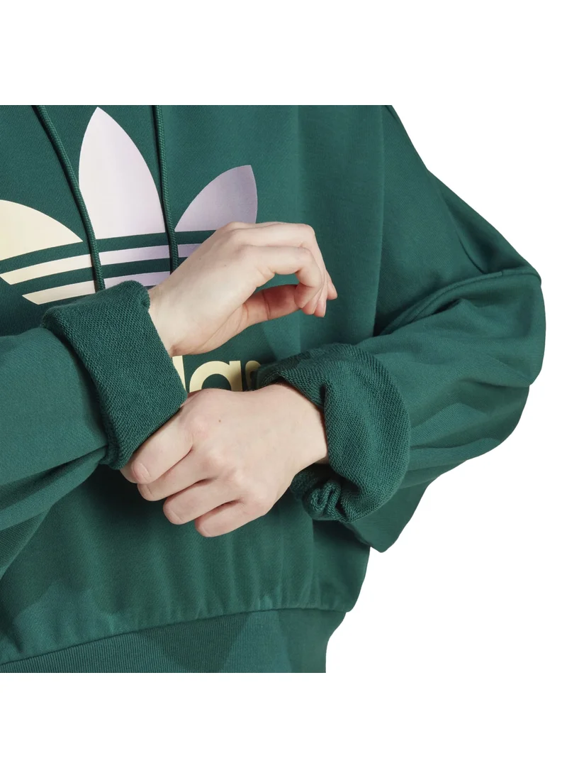 اديداس adidas GRADIENT HOODIE Green Originals Women SWEATSHIRTS